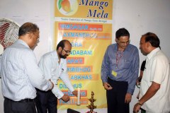 mango-mela